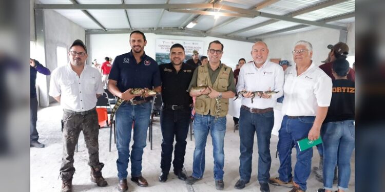 Colabora la UAT en la conservación y control del cocodrilo morelet