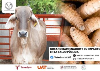 Dará la UAT conferencias sobre gusano barrenador y su impacto en la salud pública