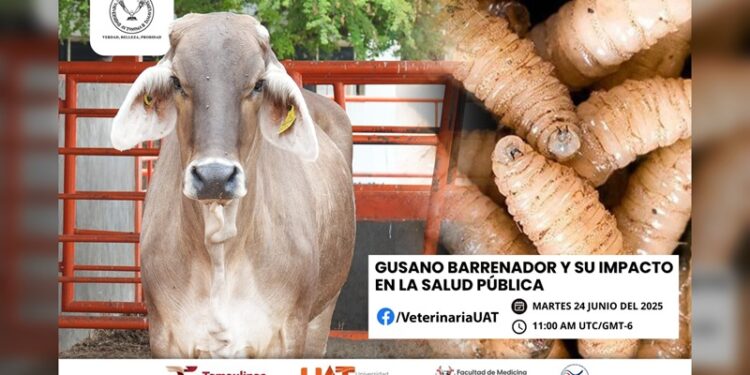 Dará la UAT conferencias sobre gusano barrenador y su impacto en la salud pública