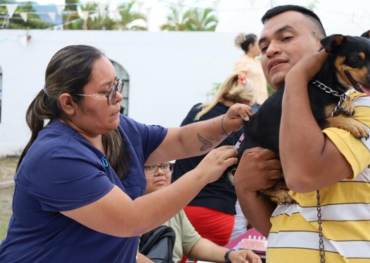 Disfrutan de ‘Tarde en Familia’ en la Estudiantil