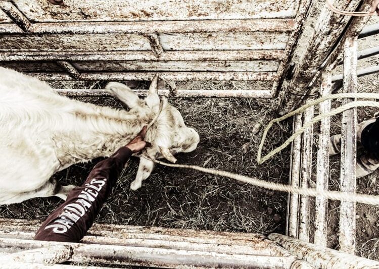 El artista victorense Jorge Antonio Fuentes exhibirá muestra en la Pinacoteca de Tamaulipas