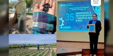 Elabora estudiante de la UAT bioherbicida para cultivos de frijol