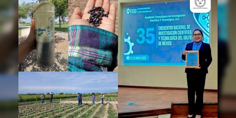 Elabora estudiante de la UAT bioherbicida para cultivos de frijol