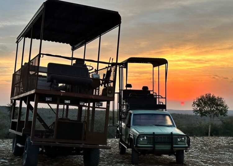 “Es Tamaulipas líder nacional en turismo cinegético y pesca deportiva”: Sectur