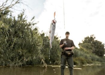 “Es Tamaulipas líder nacional en turismo cinegético y pesca deportiva”: Sectur