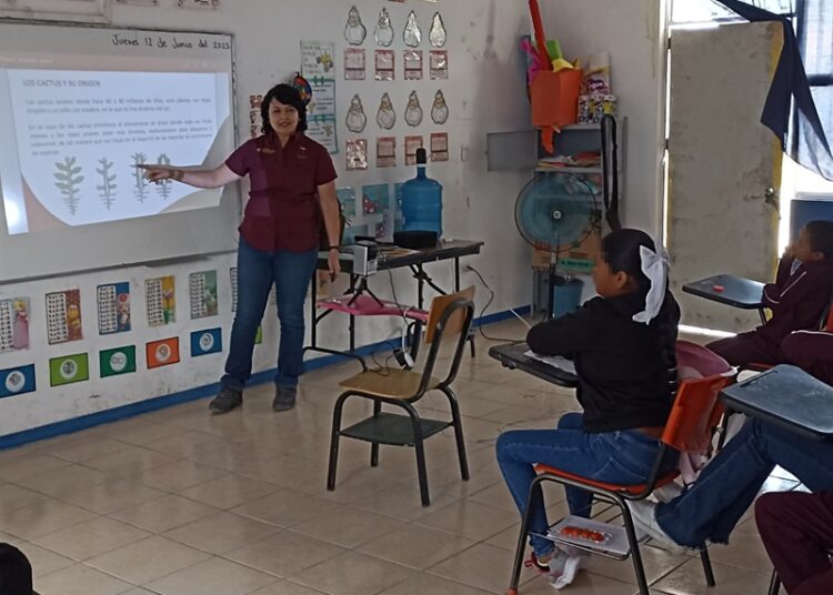 Fomenta SEDUMA conservación de cactáceas, tesoro del altiplano