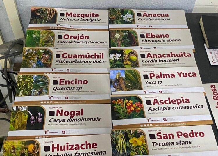 Fomentan conciencia ambiental en alumnos del CBTis 24