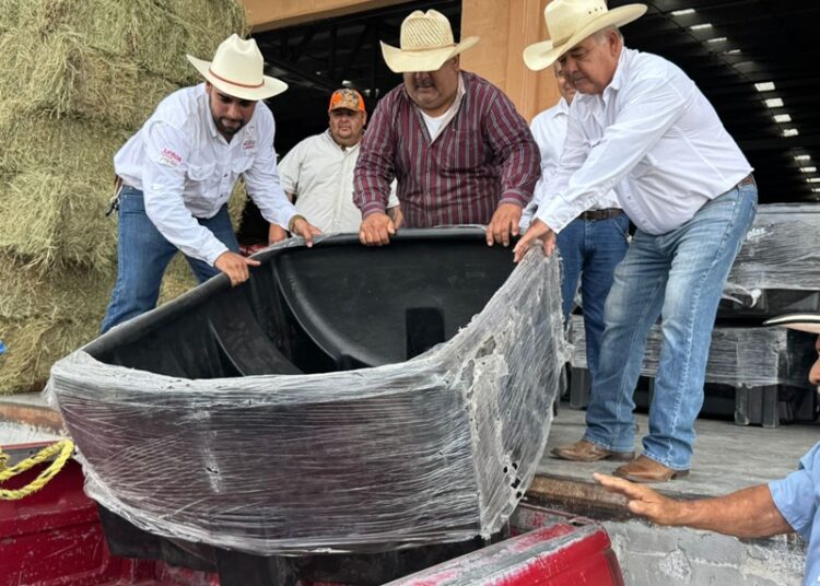 Ganaderos agradecen apoyos únicos en Tamaulipas impulsados por NLD