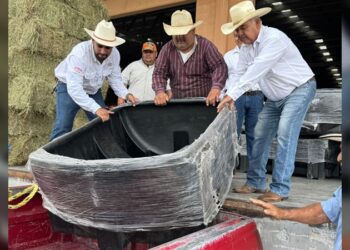 Ganaderos agradecen apoyos únicos en Tamaulipas impulsados por NLD