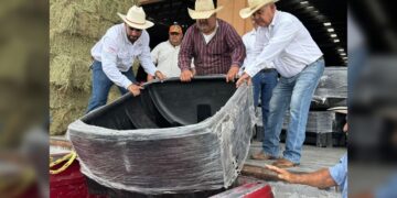 Ganaderos agradecen apoyos únicos en Tamaulipas impulsados por NLD