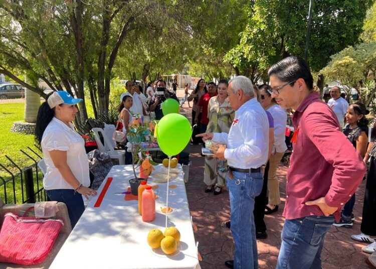 “Inauguran ‘Mercadita de Mujeres Güemenses’ para fomentar el emprendimiento femenino”: IMT