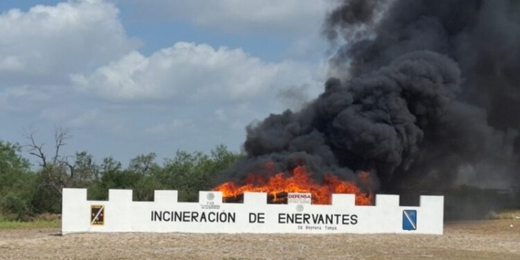 Incinera FGR más de una tonelada y media de drogas en Reynosa