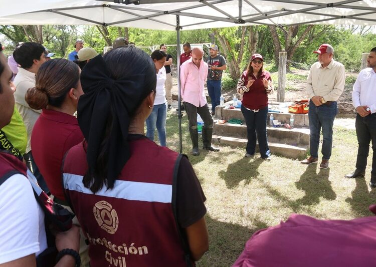 Instruyen a municipios en protocolos para manejo de cocodrilos