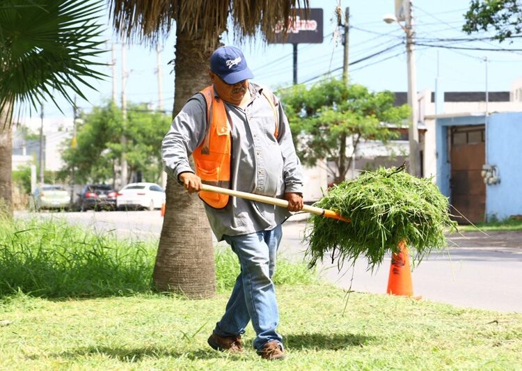 Intenso operativo de bacheo tras reportes por lluvias en la Capital