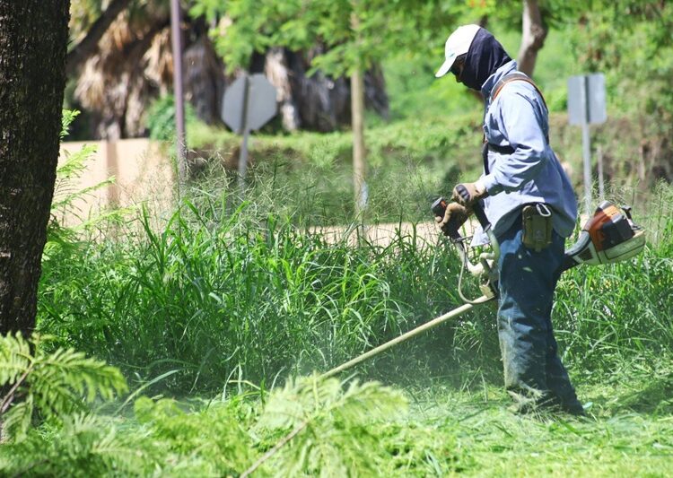 Intenso operativo de bacheo tras reportes por lluvias en la Capital