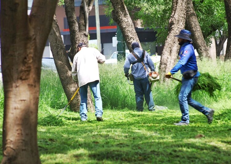 Intenso operativo de bacheo tras reportes por lluvias en la Capital