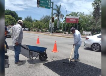 Intenso operativo de bacheo tras reportes por lluvias en la Capital