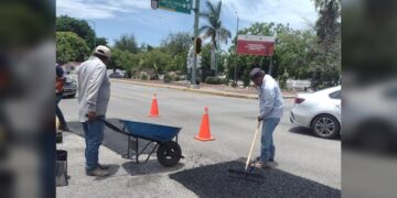 Intenso operativo de bacheo tras reportes por lluvias en la Capital