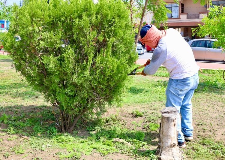 Intenso trabajo de rehabilitación y limpieza de calles y avenidas en la ciudad