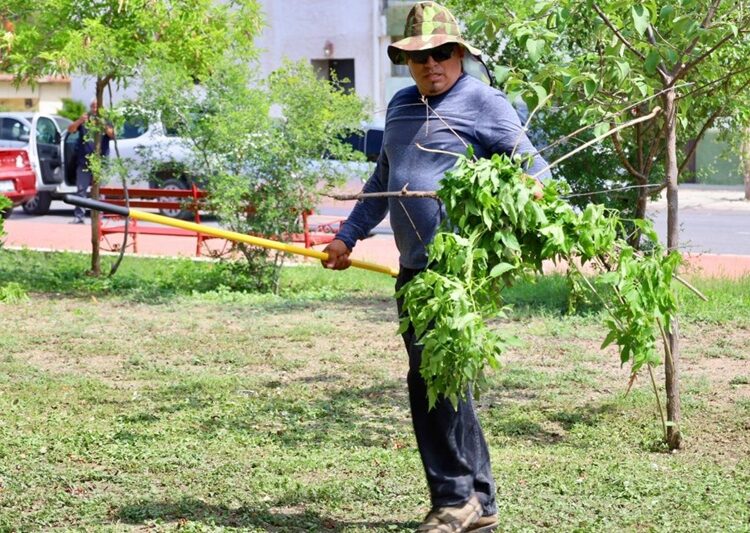 Intenso trabajo de rehabilitación y limpieza de calles y avenidas en la ciudad