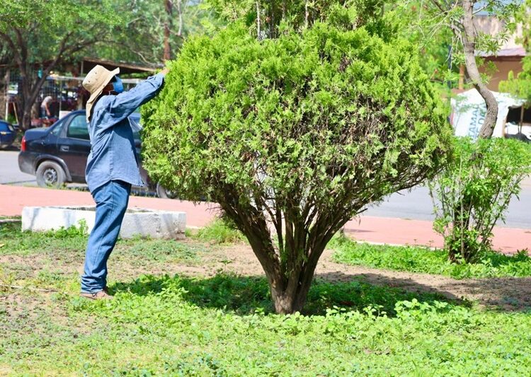 Intenso trabajo de rehabilitación y limpieza de calles y avenidas en la ciudad