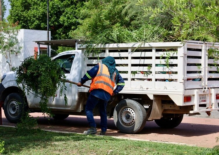Intenso trabajo de rehabilitación y limpieza de calles y avenidas en la ciudad