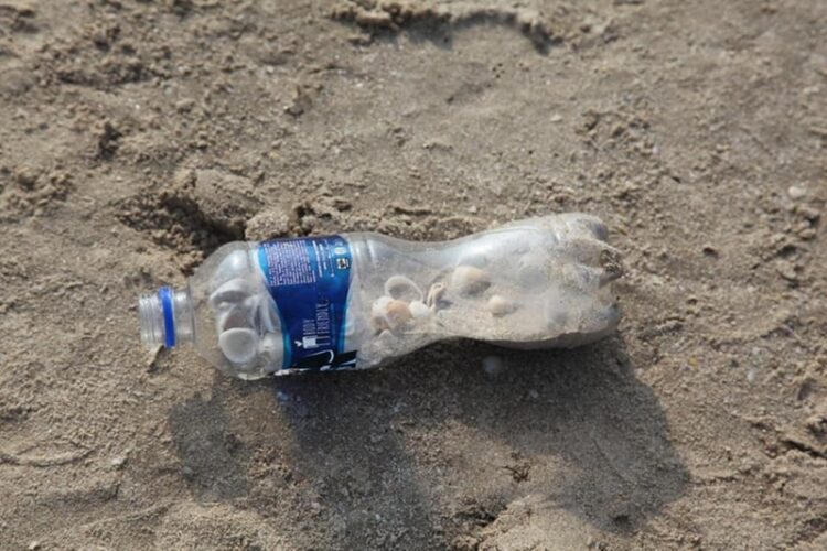 05 de junio, ‘Día Mundial del Medio Ambiente’ 2025