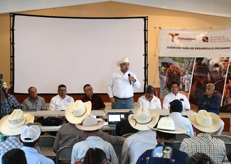 Promueven el uso del nopal como estrategia alimentaria sustentable