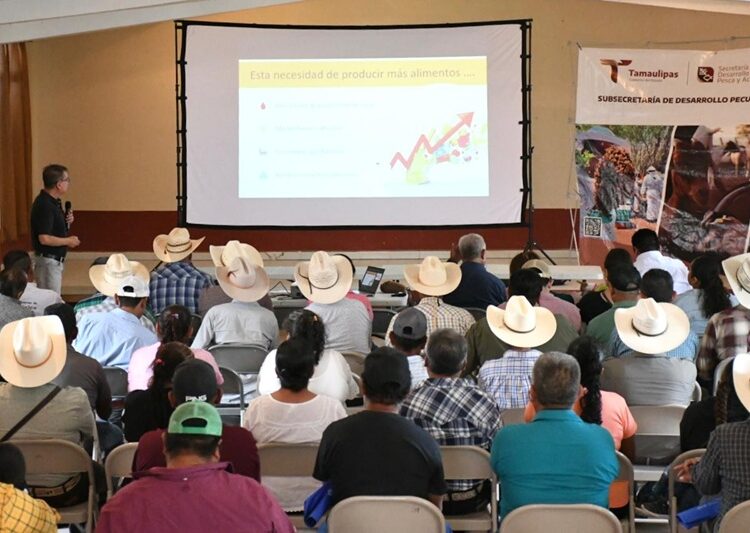 Promueven el uso del nopal como estrategia alimentaria sustentable