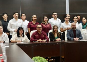 Realiza SIPINNA 2.ª sesión de la Comisión de Tecnología y Contenidos Audiovisuales