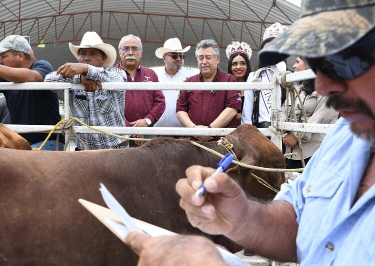 Realizan evento de ‘Mejoramiento Genético 2025’ en Tula