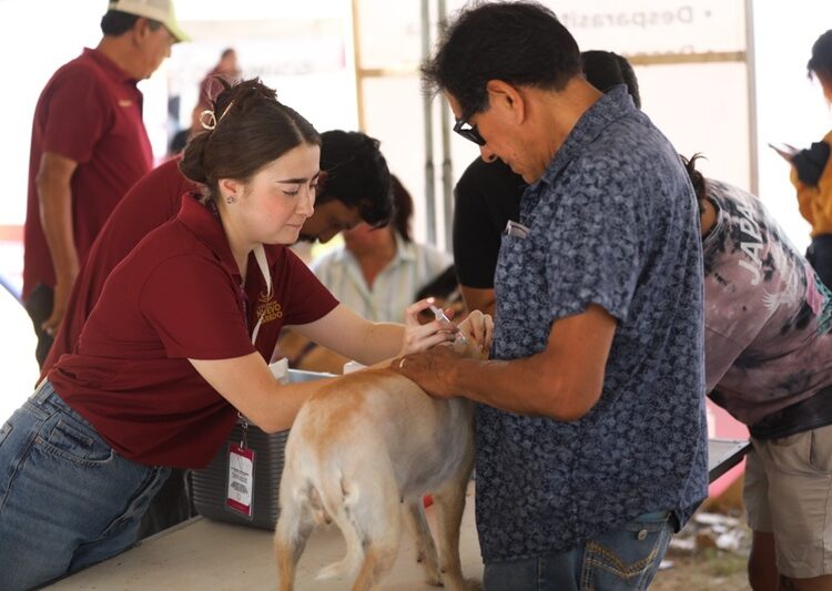 Servicios, trámites y apoyos de NLD llegan a colinas del Sur con “Presidencia Cerquita de Ti”