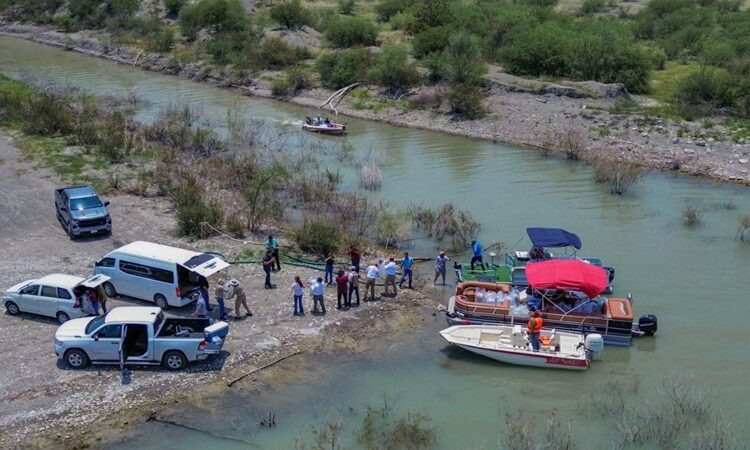 Siembran lobinas en la presa Vicente Guerrero para impulsar la pesca deportiva