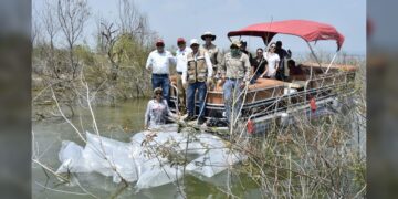 Siembran lobinas en la presa Vicente Guerrero para impulsar la pesca deportiva