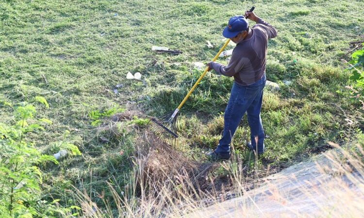 Sociedad y gobierno, sanean cauce del río San Marcos