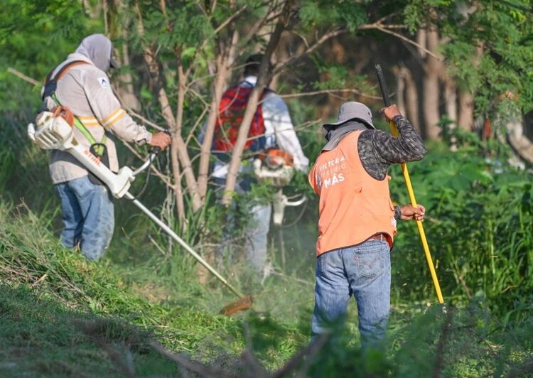 Sociedad y gobierno, sanean cauce del río San Marcos