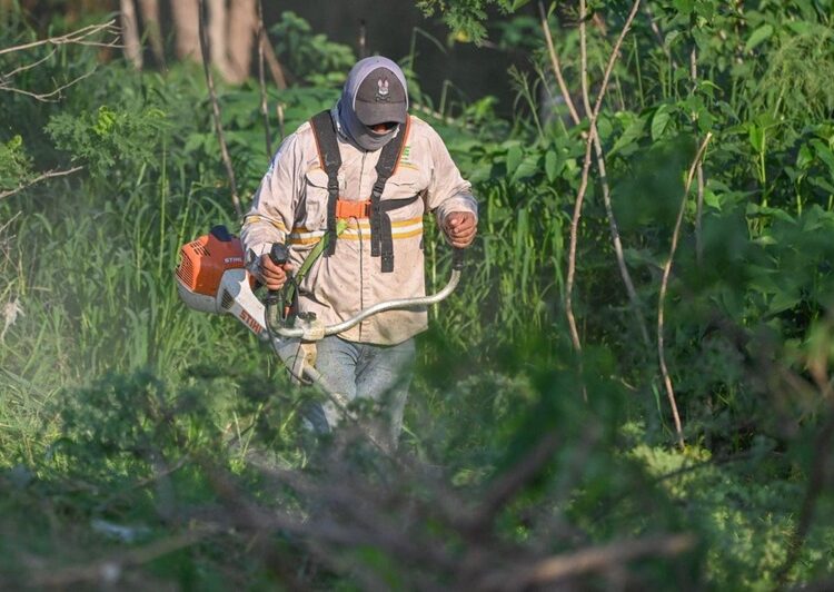 Sociedad y gobierno, sanean cauce del río San Marcos