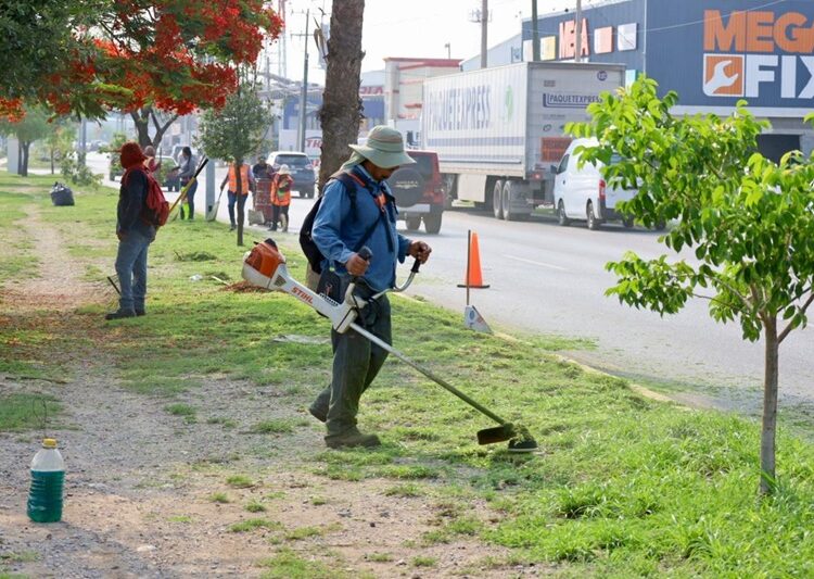 Supervisa Lalo Gattás atención de reportes ciudadanos