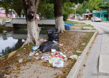 Tamaulipas enfrenta diversos retos ambientales