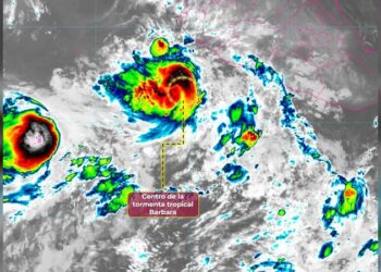 “Hoy se ejerce plenamente el derecho a la libertad de expresión”: AVA