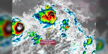 “Hoy se ejerce plenamente el derecho a la libertad de expresión”: AVA