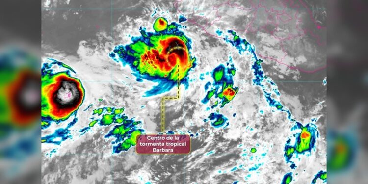 “Hoy se ejerce plenamente el derecho a la libertad de expresión”: AVA