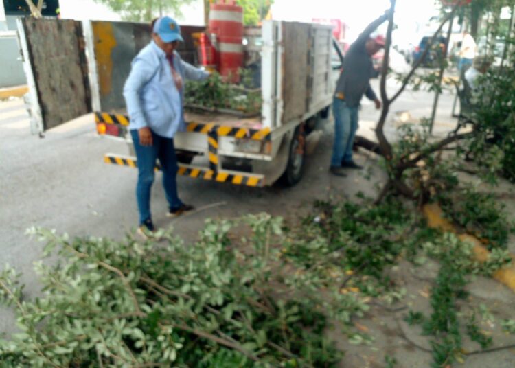 Por órdenes de Lalo Gattás, Victoria activa operativo de Protección Civil