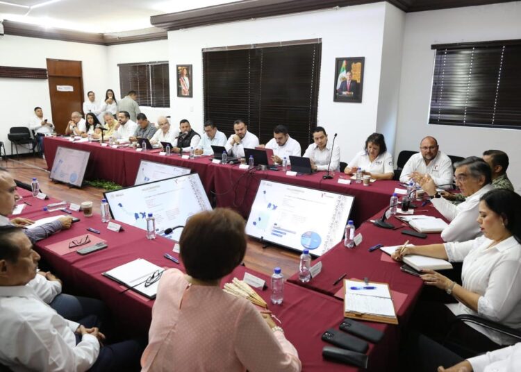 Redoblemos esfuerzos en Seguridad Pública: Américo