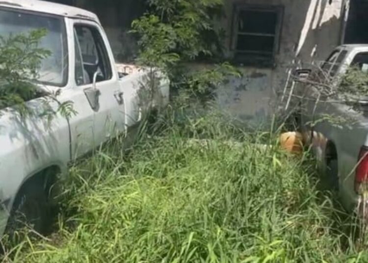 “Abandono total”: oficinas de la extinta SARH, símbolo del olvido al campo tamaulipeco