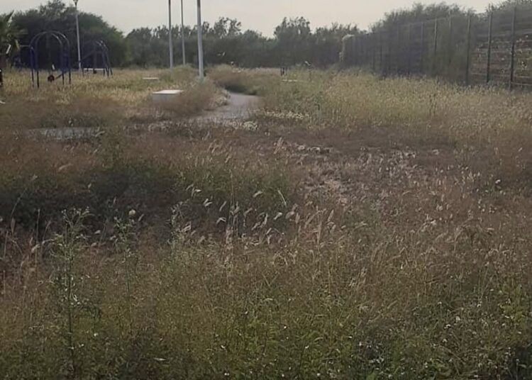 Abandono y corrupción sepultan espacios de paz y bienestar en Tamaulipas