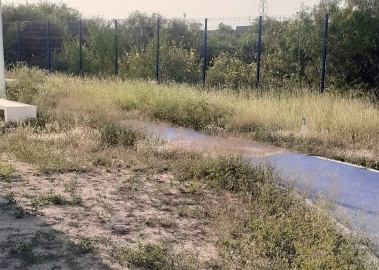 Abandono y corrupción sepultan espacios de paz y bienestar en Tamaulipas