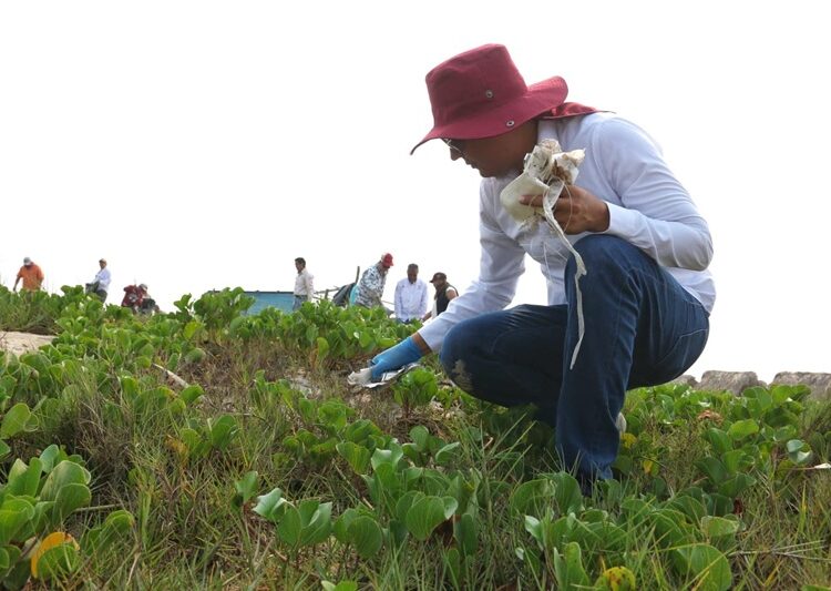 Activan Tamaulipas y Federación acciones para conservación de playas