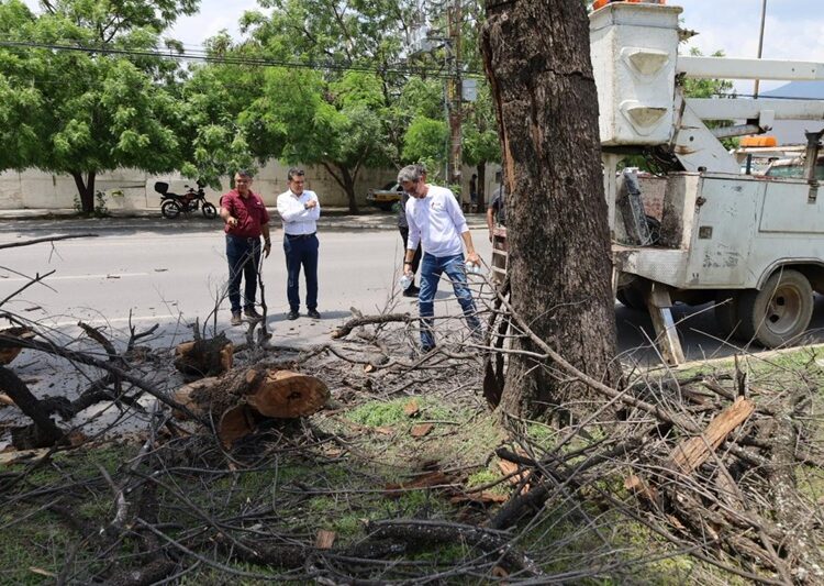 Aplicará Municipio más 3,500 m2 de asfalto en bacheo
