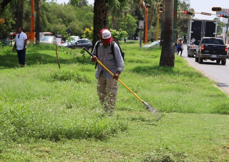 Aplicará Municipio más 3,500 m2 de asfalto en bacheo